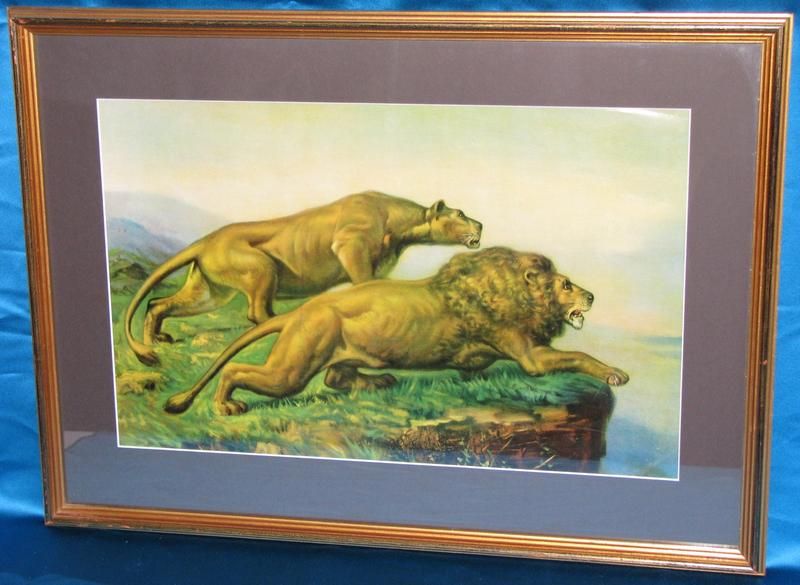 Atkinson Fox Elmer Lewis Ever Watchful Lion Print  