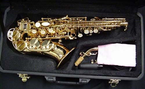 New Dc Pro curved soprano sax w/case + Selmer saxophone care kit 