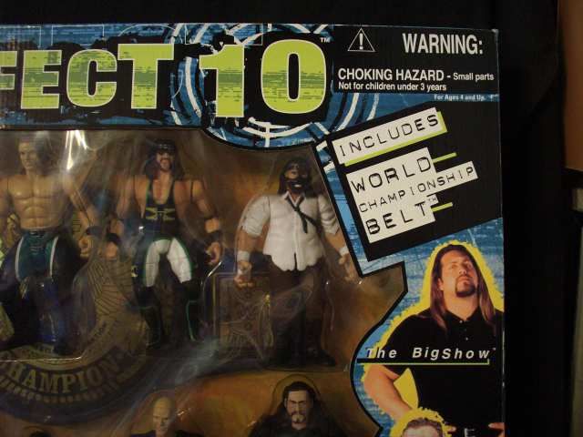 JAKKS PERFECT 10 STONE COLD & THE ROCK & ETC MIB #A3339  