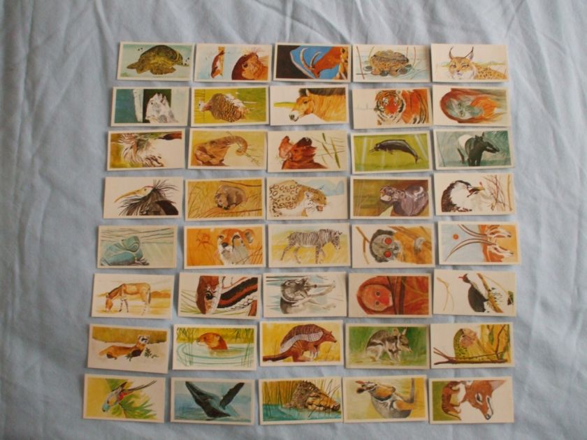 BROOKE BOND TEA CARDSVANISHING WILDLIFE 1978BUY INDIVIDUALLY NOs 1 