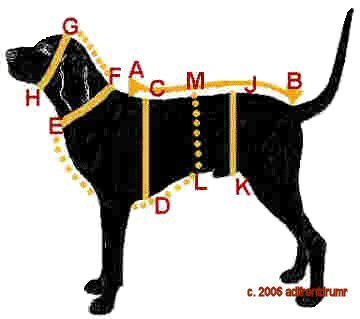 unfamiliar this diagram and the following explanation should help 