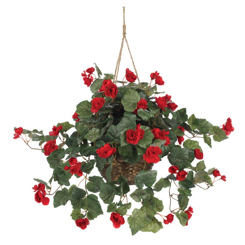 Gorgeous Red SILK BEGONIA Hanging Flower Plant Basket   