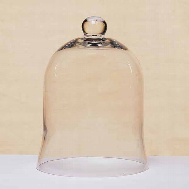 This modern shaped glasscloche is great for incubating plants or 