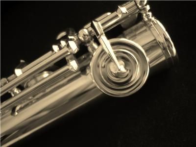 Unused Miyazawa Professional Flute (=201 RH)  