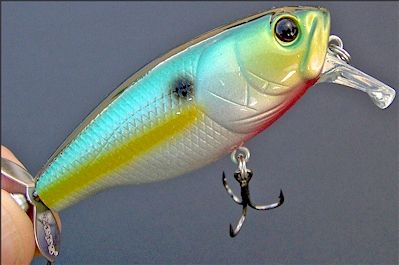 deps Buzzjet Jr. ~ Topwater ~ Chartreuse Sexy Shad  