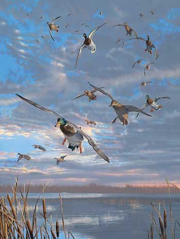 Scot Storm S/N Print CLOSING MINUTES Mallards  