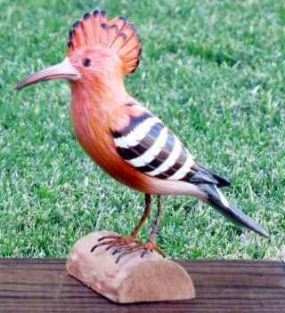 Side view of Carved Wood Hoopoe