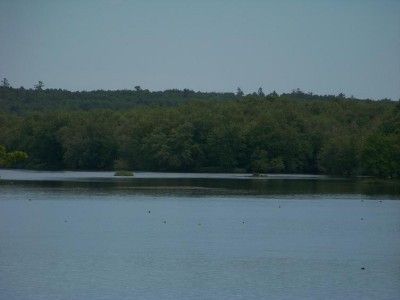 LAND at MAINE & NEW BRUNSWICK BORDER with WATER ACCESS  