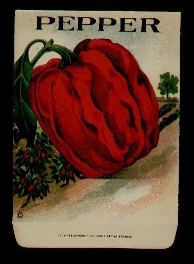 1910s PEPPER ( RED BELL) LITHO SEED PACKET ~L@@K~ MUST SEE   WOW 