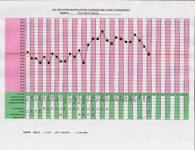 BBT THERMOMETER C + 20 OVULATION/PREGNANCY TESTS &CHART 5060213044241 