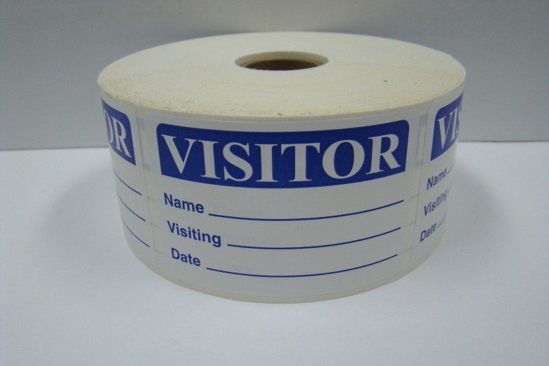 250 2x3 Blue Visitor Name Tag Badge Labels Stickers  