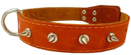 19 25Leather Dog Collar Spiked Orange  