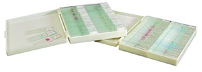 100 Prepared Microscope Slides Homeschool Biology Set 2  