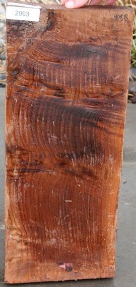 CLARO WALNUT BURL 22 1/2 x 9 1/2 x 3 ~ WOOD HARDWOOD LUMBER 2093 