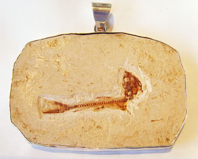 Charles Albert GENUINE FISH FOSSIL PENDANT in Sterling Silver  